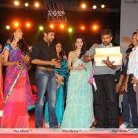 Panja Audio Release - Pictures | Picture 128460
